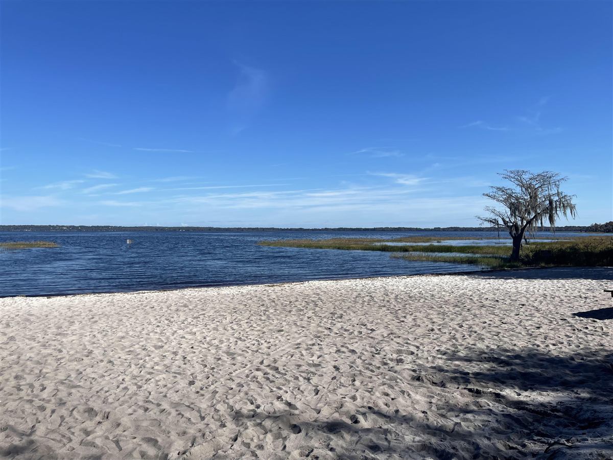 The swim beach at Lake Louisa State Park