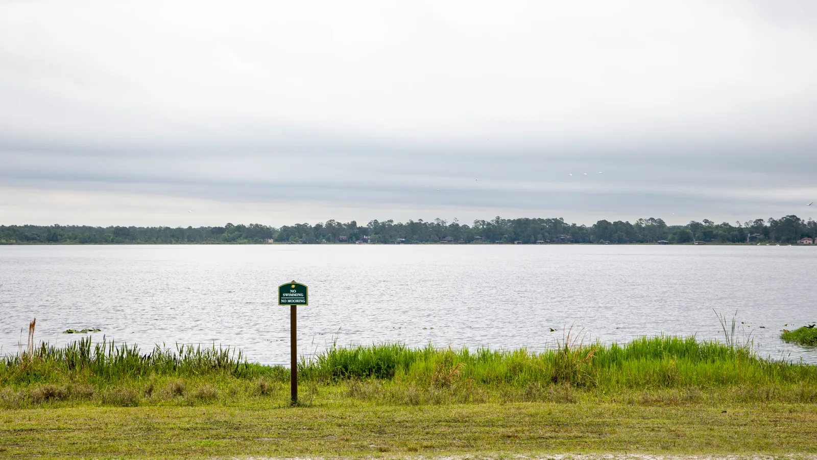The lake at Moss Park