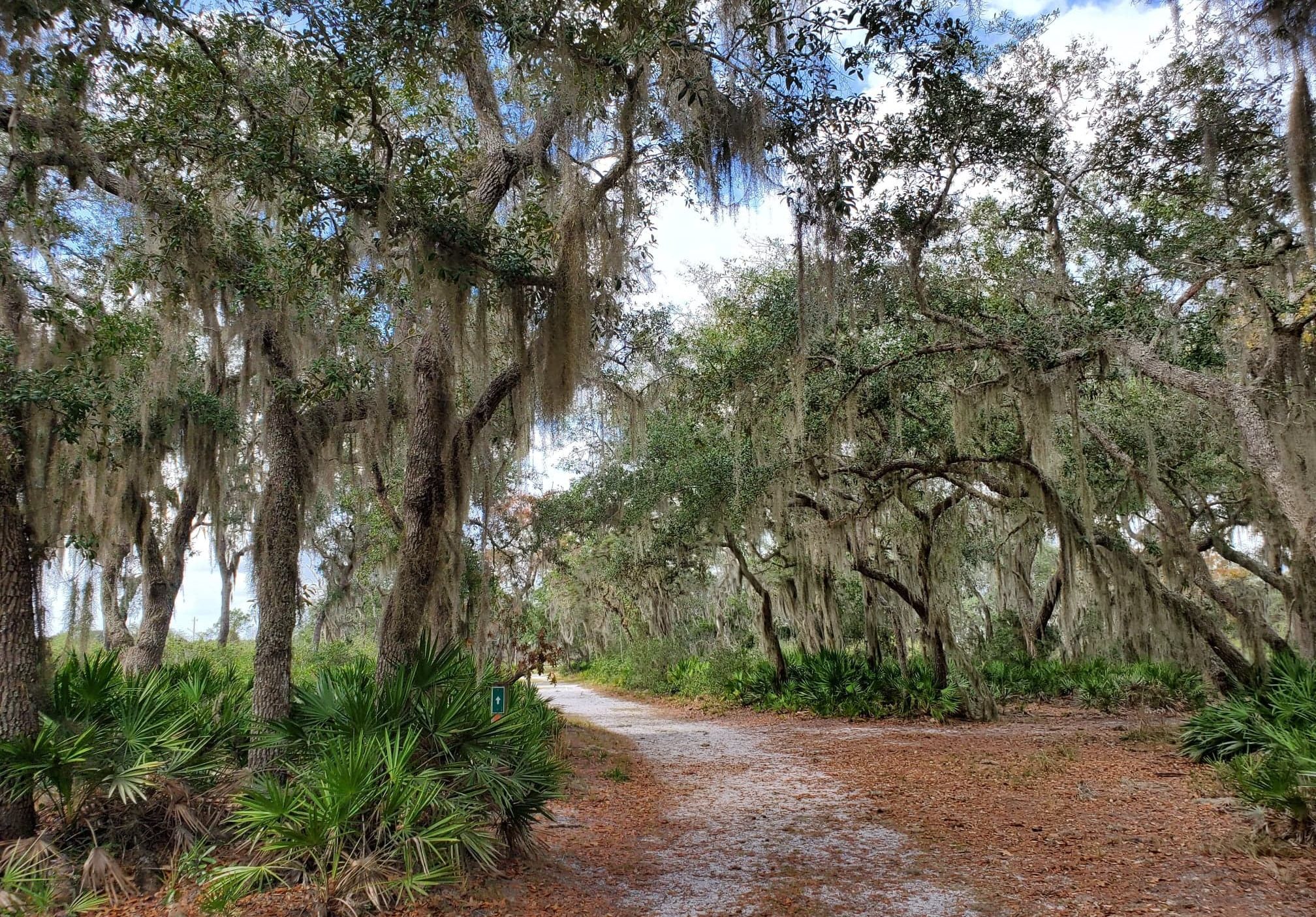 A hiking trail at Moss Park