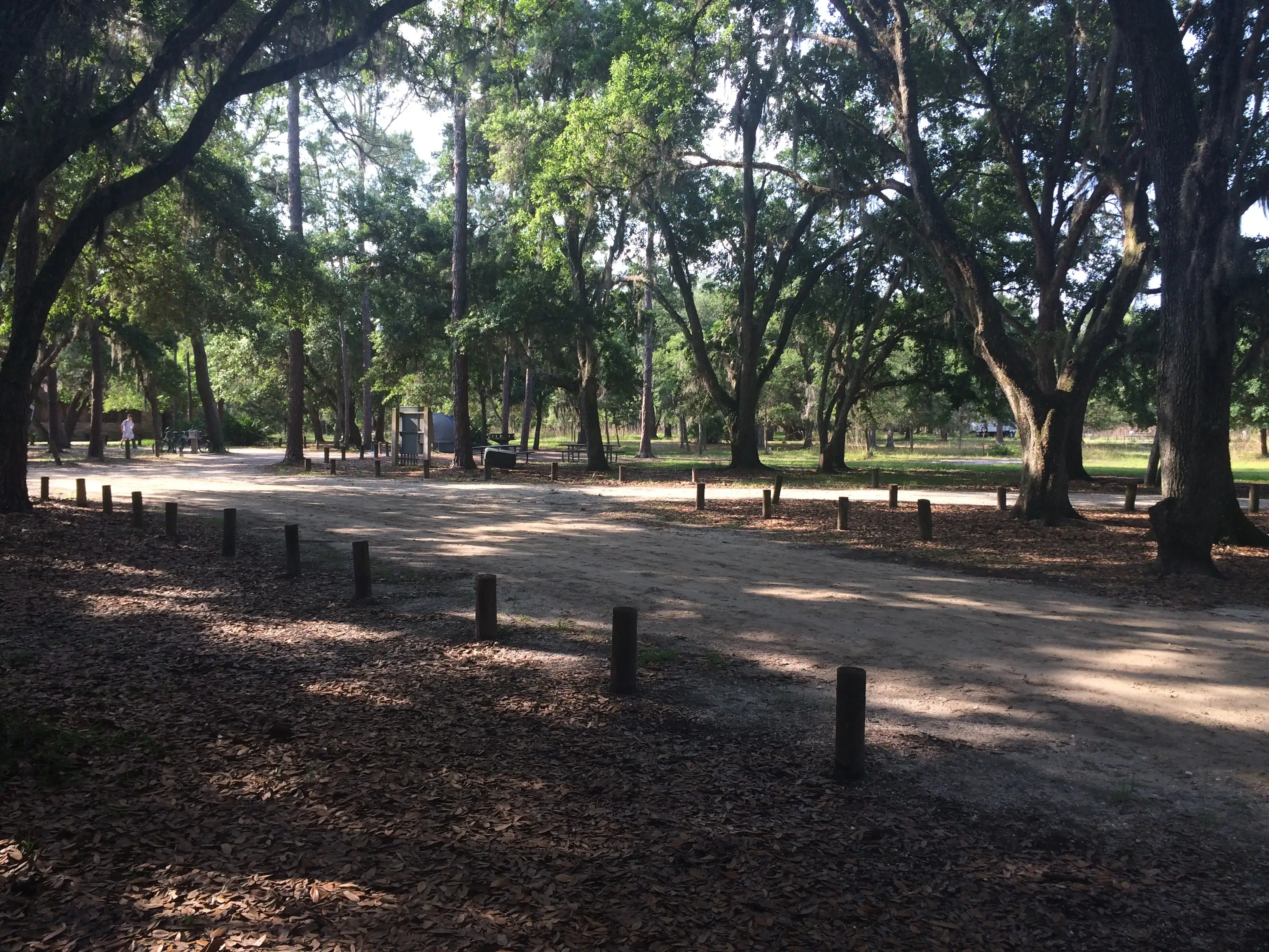 Moss Park