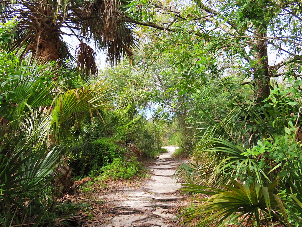 A hiking trail at Wickham Park